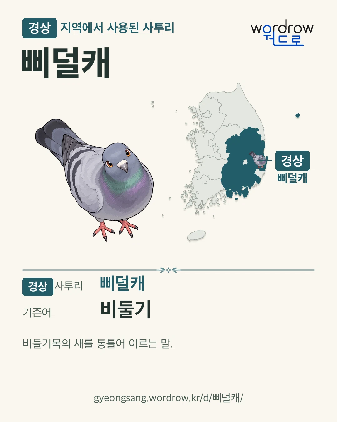 경상 지역에서 사용된 사투리 ‘삐덜캐’. 기준어: 비둘기. 기록 지역을 표시한 카툰 삽화와 지도 카드.