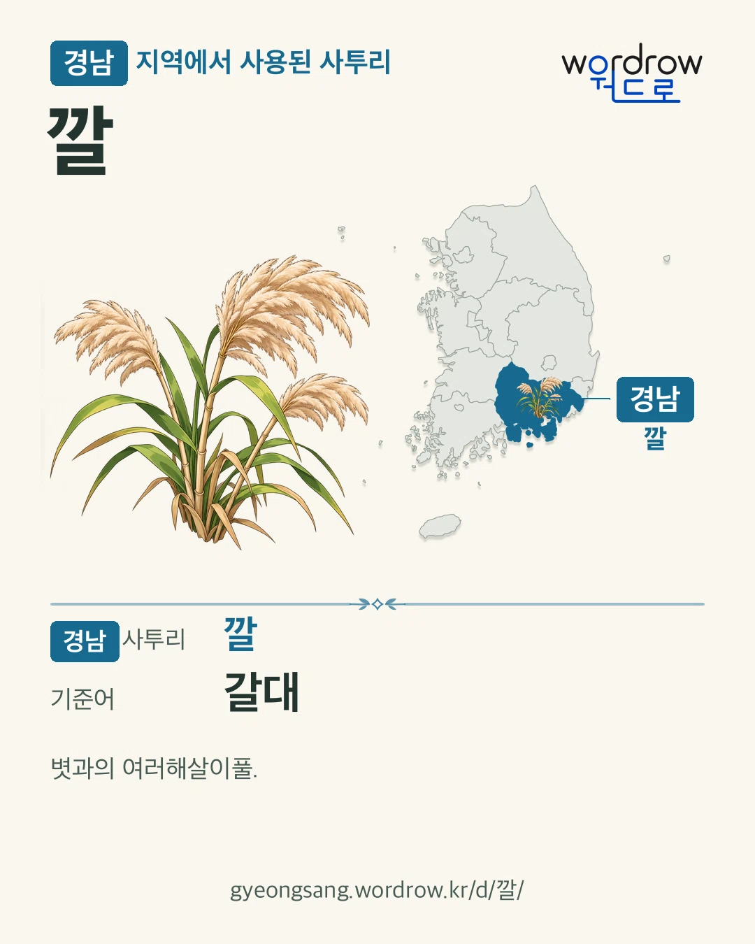 경남 지역에서 사용된 사투리 ‘깔’. 기준어: 갈대. 기록 지역을 표시한 카툰 삽화와 지도 카드.