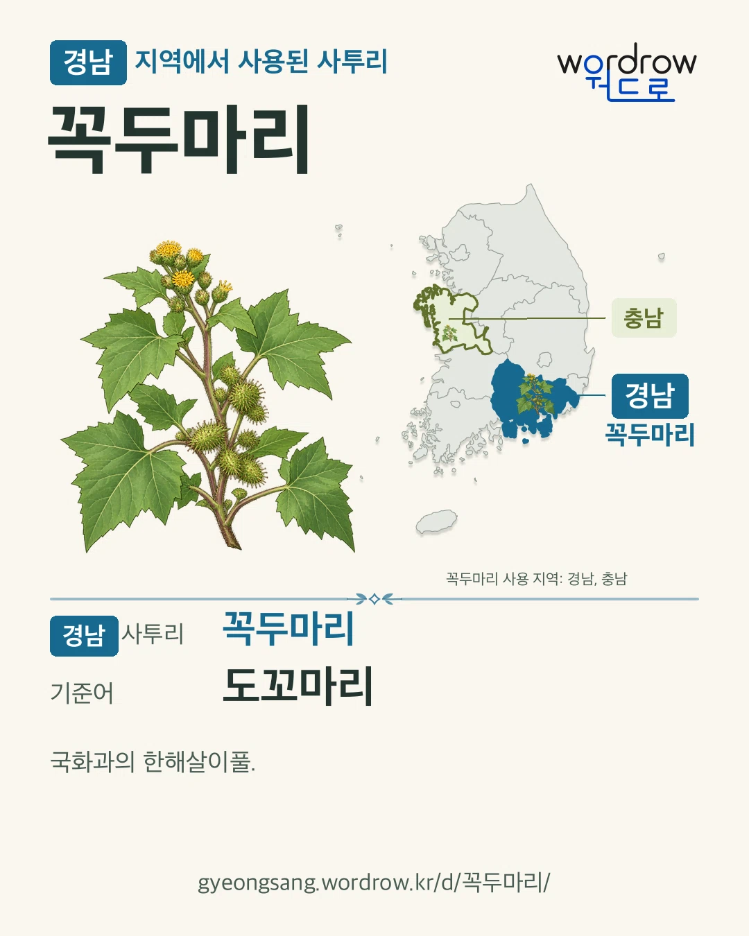 경남 지역에서 사용된 사투리 ‘꼭두마리’. 기준어: 도꼬마리. 기록 지역을 표시한 카툰 삽화와 지도 카드.