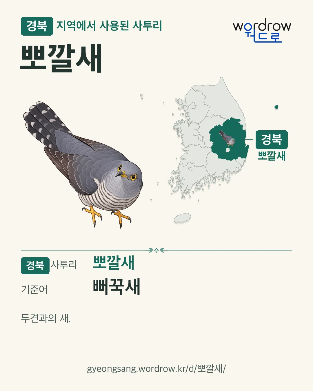 경북 지역에서 사용된 사투리 ‘뽀깔새’. 기준어: 뻐꾹새. 기록 지역을 표시한 카툰 삽화와 지도 카드.