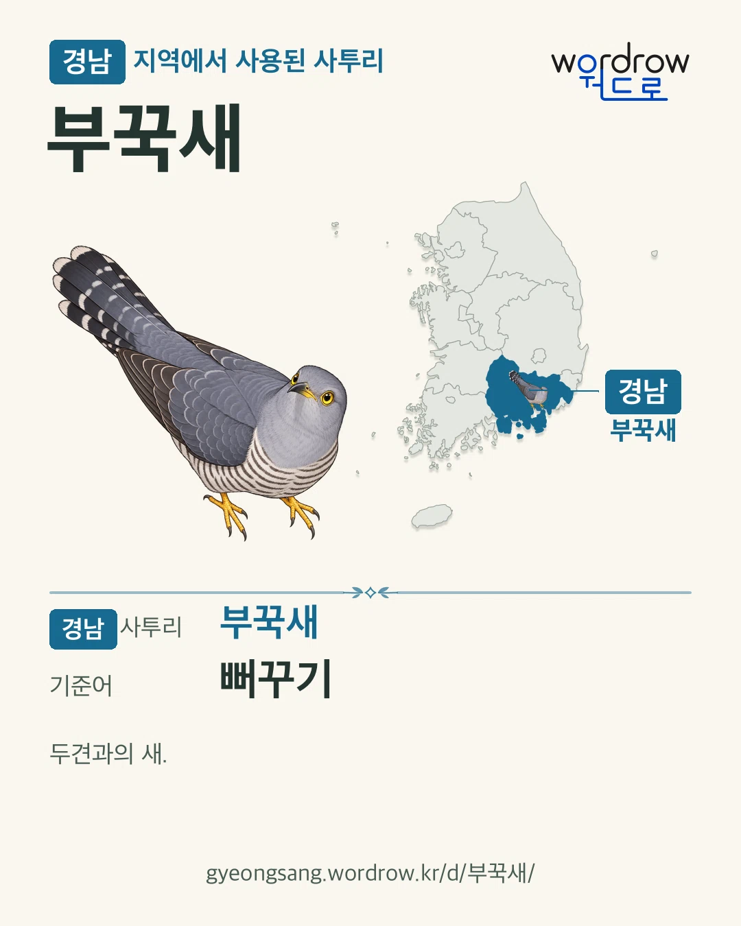 경남 지역에서 사용된 사투리 ‘부꾹새’. 기준어: 뻐꾸기. 기록 지역을 표시한 카툰 삽화와 지도 카드.