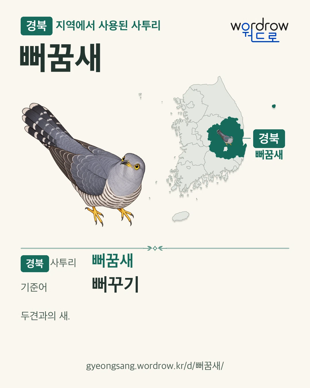 경북 지역에서 사용된 사투리 ‘뻐꿈새’. 기준어: 뻐꾸기. 기록 지역을 표시한 카툰 삽화와 지도 카드.