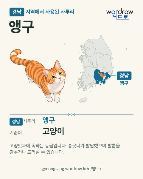 경남 지역에서 사용된 사투리 ‘앵구’. 기준어: 고양이. 기록 지역을 표시한 카툰 삽화와 지도 카드.