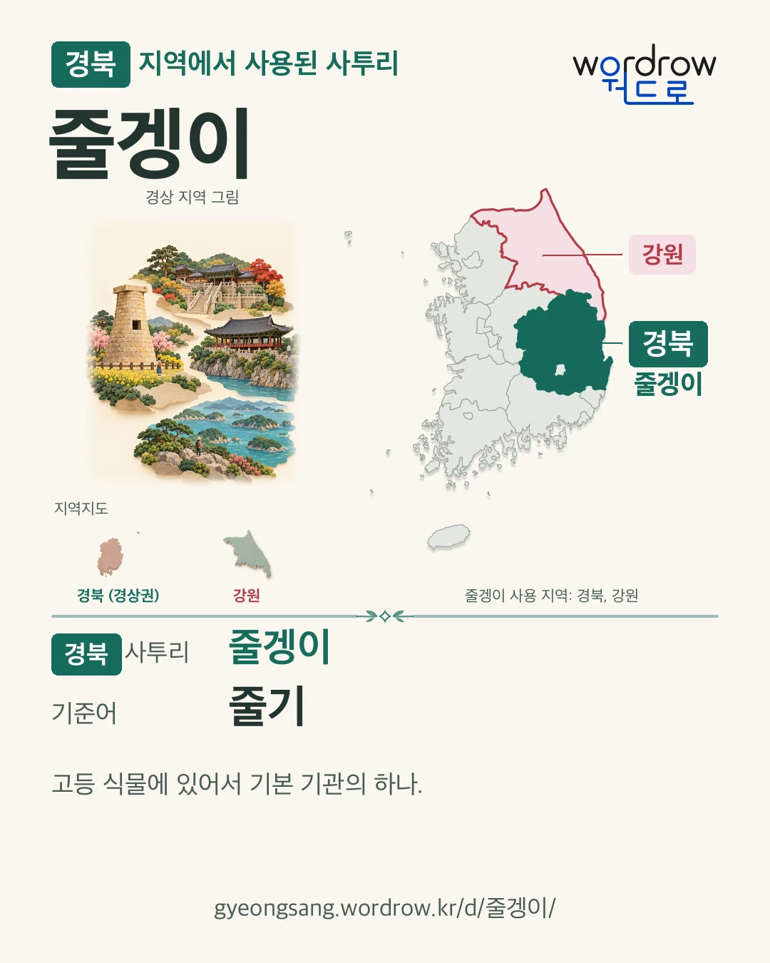 경북 지역에서 사용된 사투리 ‘줄겡이’. 기준어: 줄기. 기록 지역을 표시한 지역 그림과 지도 카드.