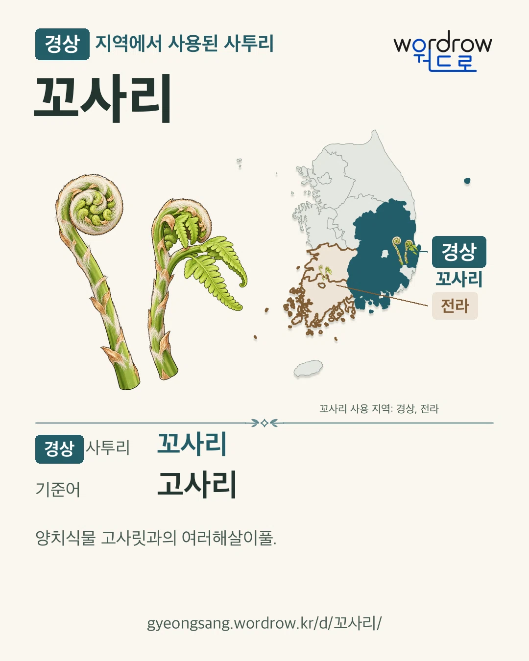 경상 지역에서 사용된 사투리 ‘꼬사리’. 기준어: 고사리. 기록 지역을 표시한 카툰 삽화와 지도 카드.