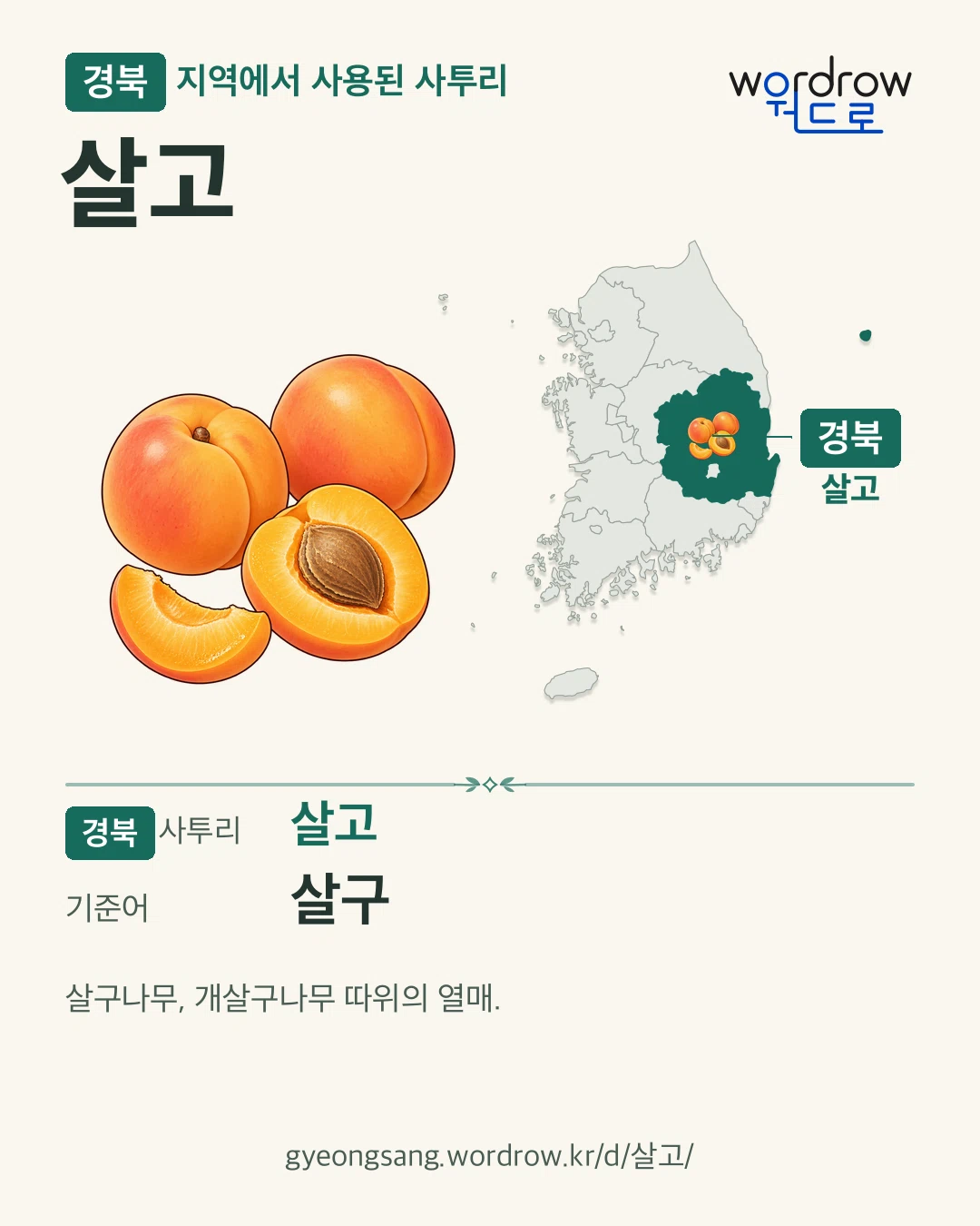 경북 지역에서 사용된 사투리 ‘살고’. 기준어: 살구. 기록 지역을 표시한 카툰 삽화와 지도 카드.