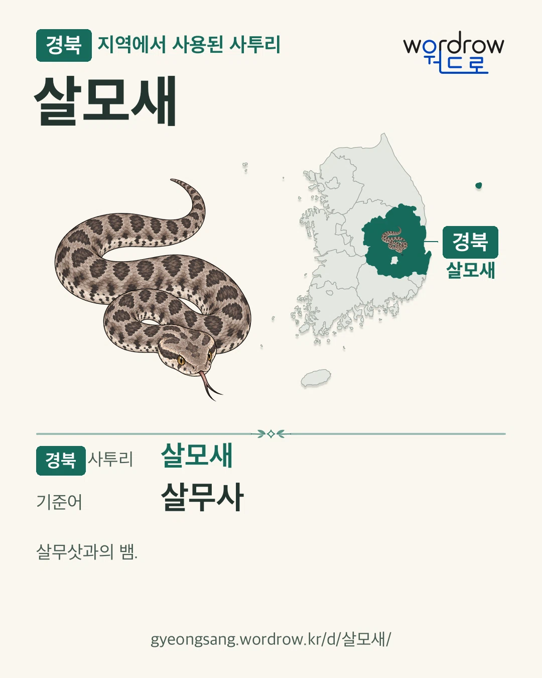 경북 지역에서 사용된 사투리 ‘살모새’. 기준어: 살무사. 기록 지역을 표시한 카툰 삽화와 지도 카드.
