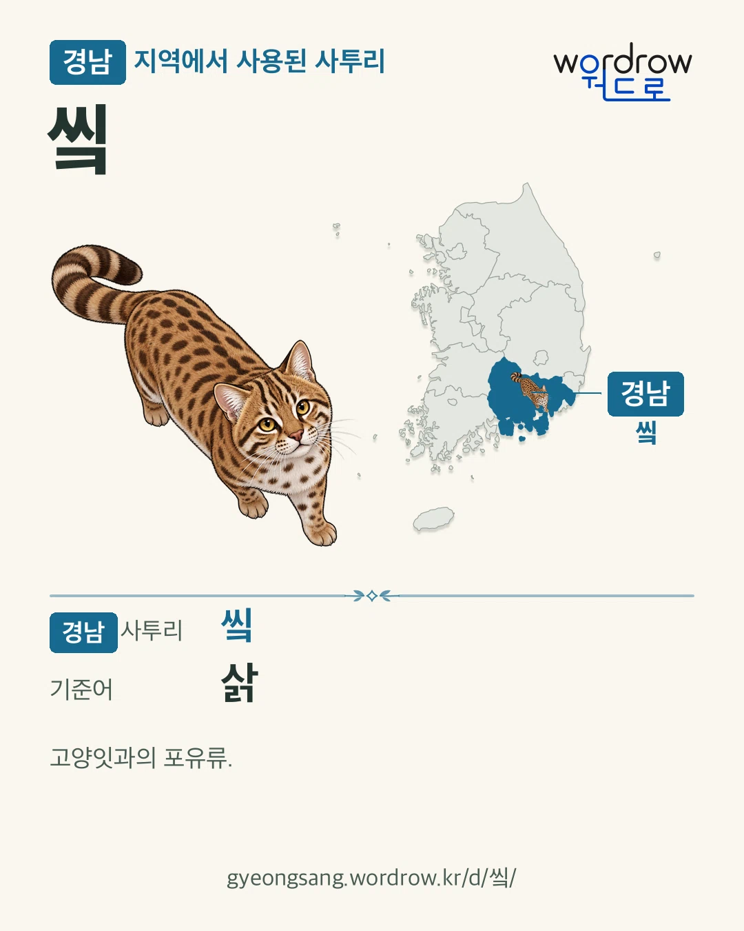 경남 지역에서 사용된 사투리 ‘앀’. 기준어: 삵. 기록 지역을 표시한 카툰 삽화와 지도 카드.