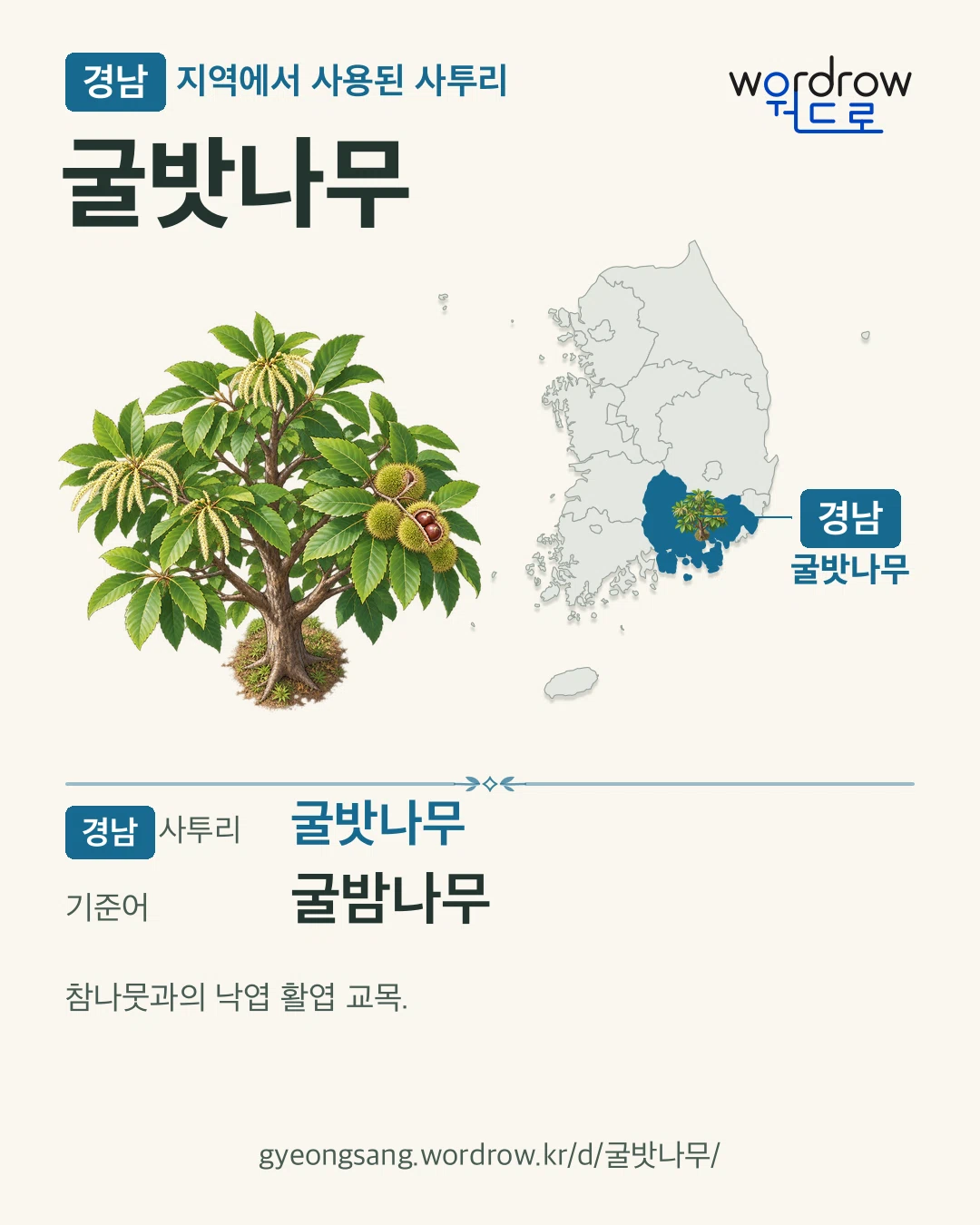 경남 지역에서 사용된 사투리 ‘굴밧나무’. 기준어: 굴밤나무. 기록 지역을 표시한 카툰 삽화와 지도 카드.