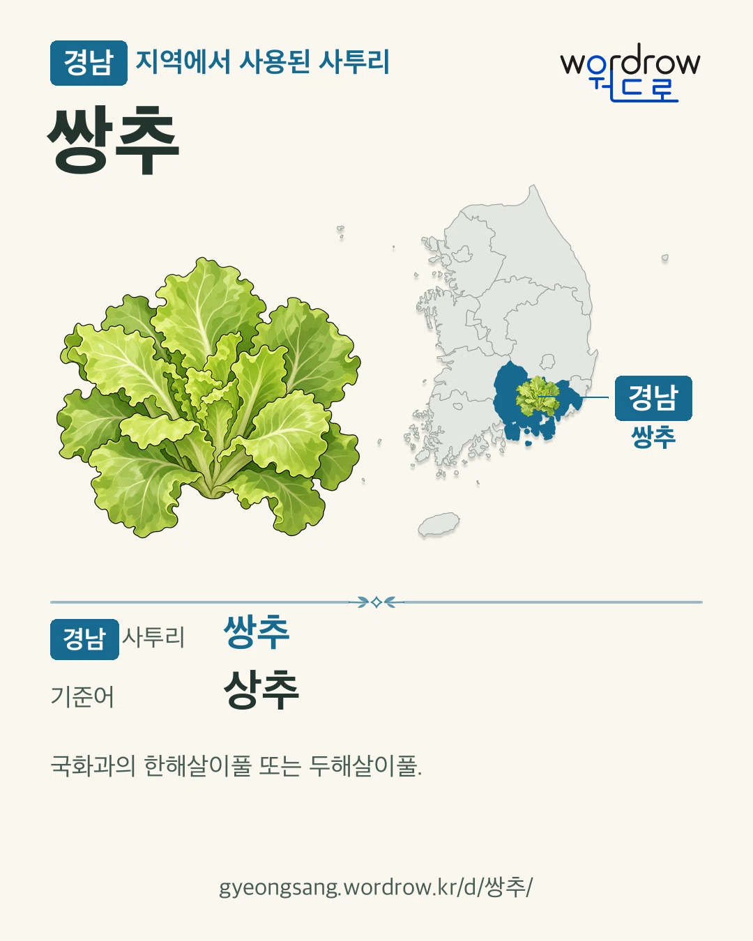 경남 지역에서 사용된 사투리 ‘쌍추’. 기준어: 상추. 기록 지역을 표시한 카툰 삽화와 지도 카드.