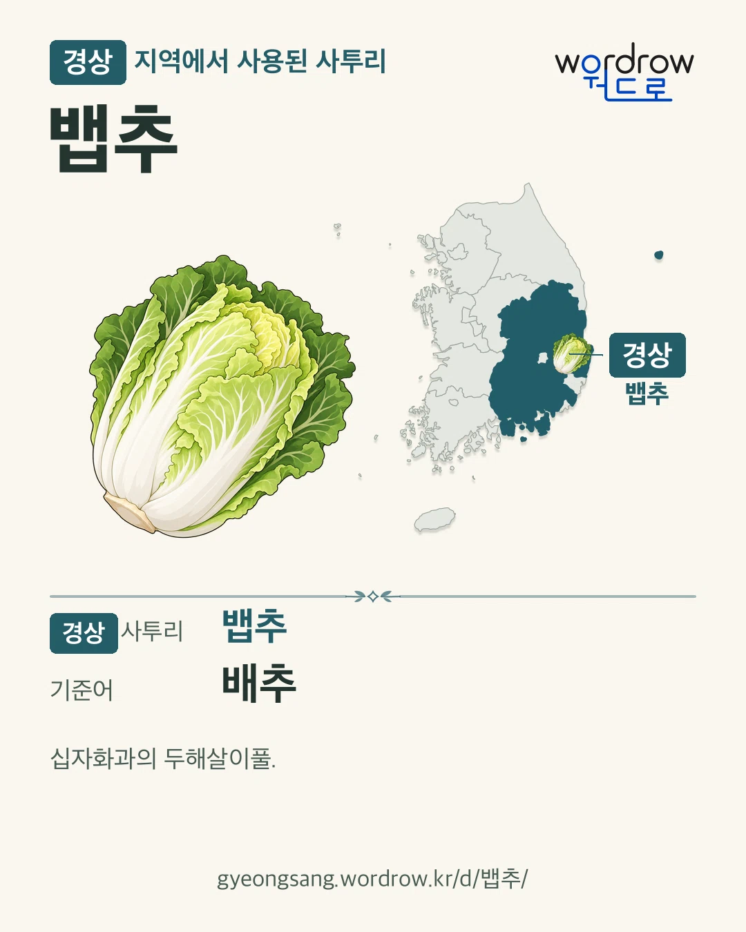 경상 지역에서 사용된 사투리 ‘뱁추’. 기준어: 배추. 기록 지역을 표시한 카툰 삽화와 지도 카드.