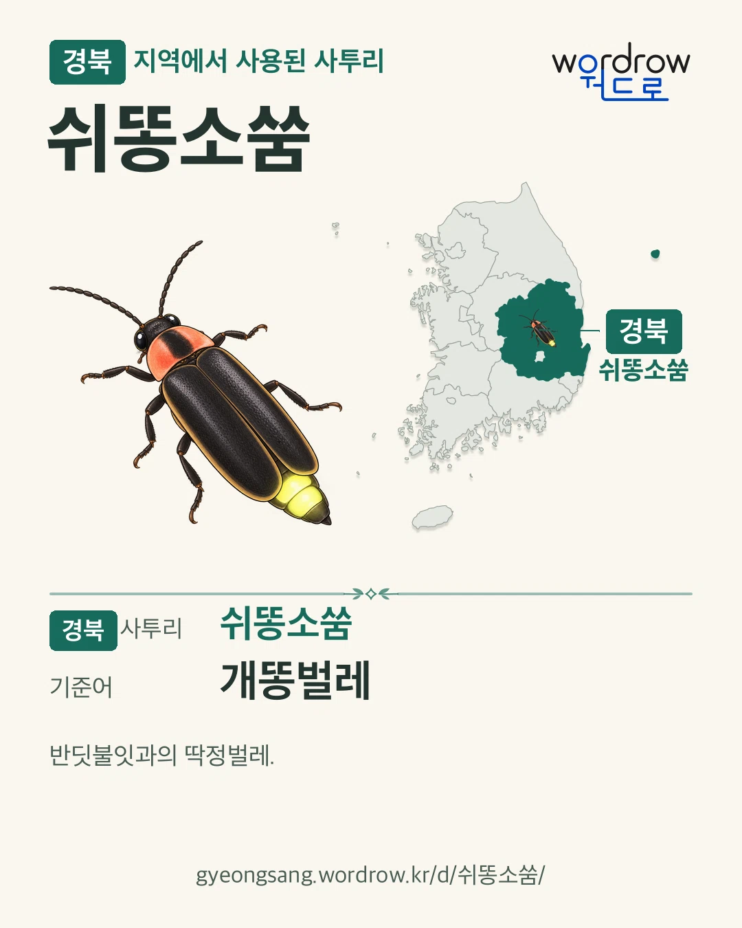 경북 지역에서 사용된 사투리 ‘쉬똥소쑴’. 기준어: 개똥벌레. 기록 지역을 표시한 카툰 삽화와 지도 카드.