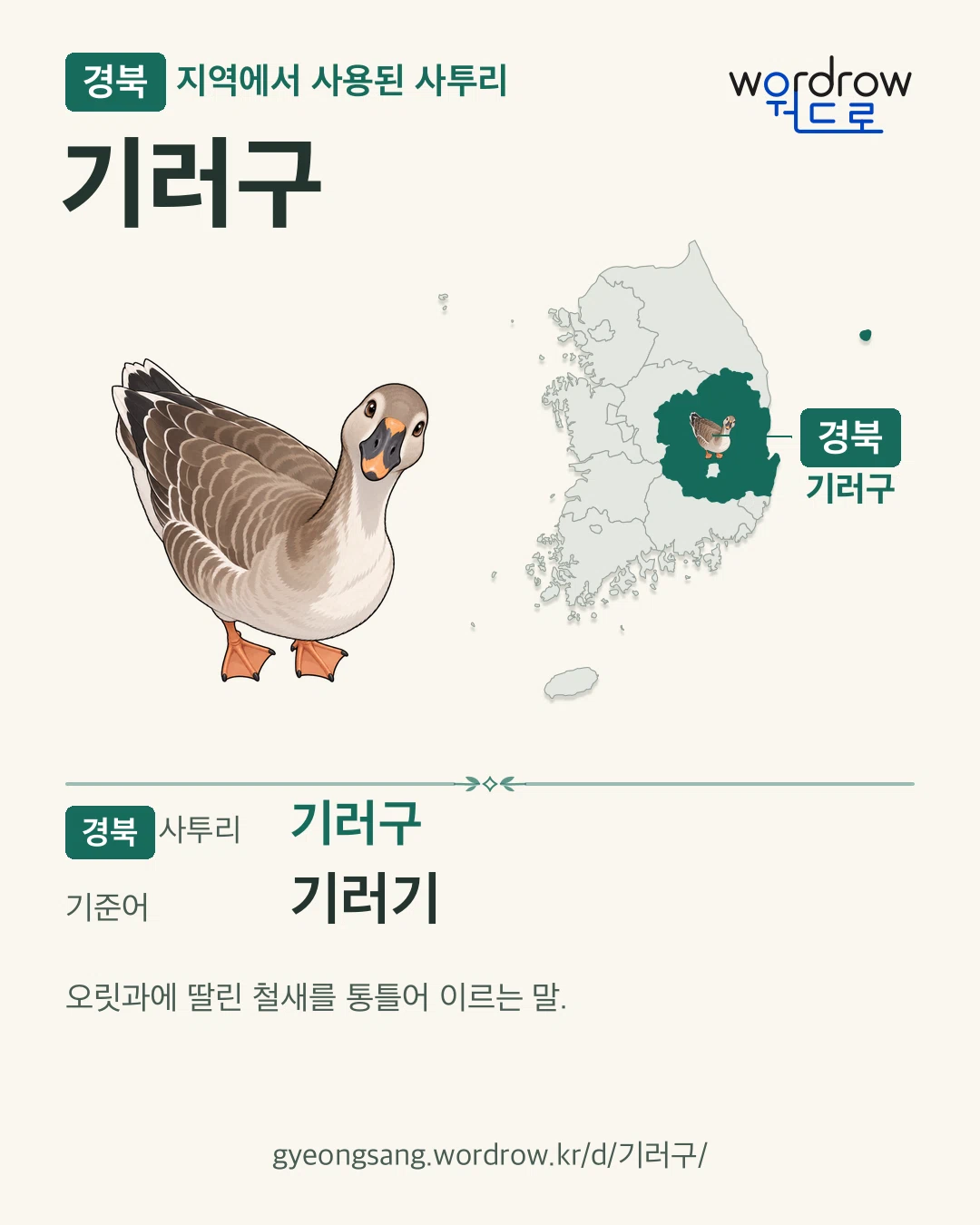 경북 지역에서 사용된 사투리 ‘기러구’. 기준어: 기러기. 기록 지역을 표시한 카툰 삽화와 지도 카드.