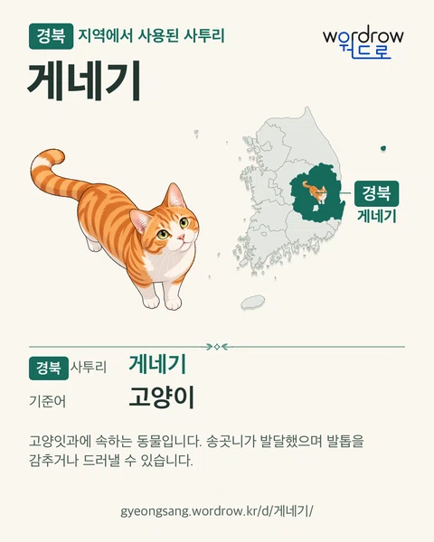 경북 지역에서 사용된 사투리 ‘게네기’. 기준어: 고양이. 기록 지역을 표시한 카툰 삽화와 지도 카드.