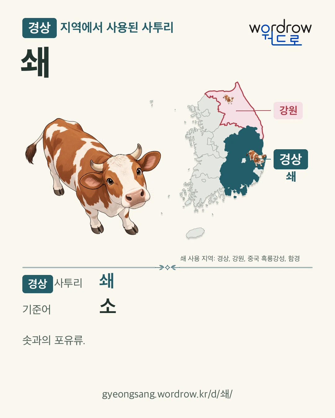 경상 지역에서 사용된 사투리 ‘쇄’. 기준어: 소. 기록 지역을 표시한 카툰 삽화와 지도 카드.