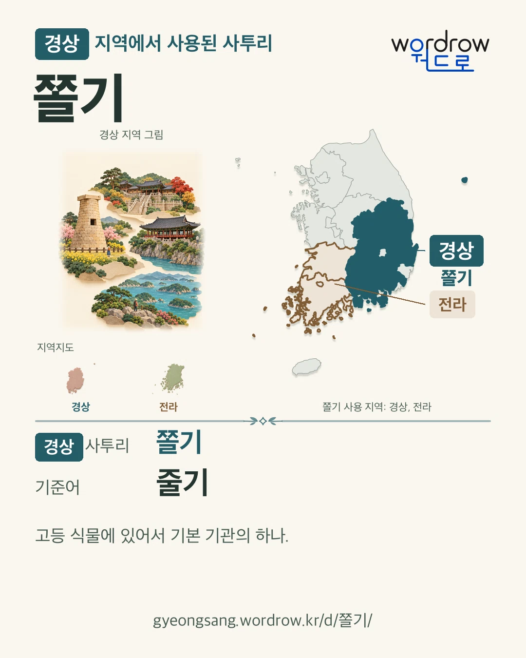 경상 지역에서 사용된 사투리 ‘쫄기’. 기준어: 줄기. 기록 지역을 표시한 지역 그림과 지도 카드.