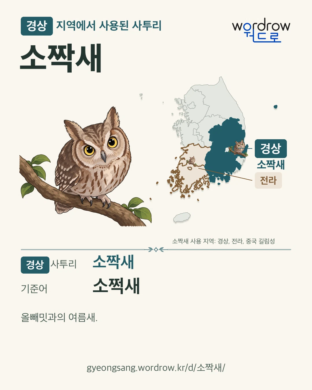 경상 지역에서 사용된 사투리 ‘소짝새’. 기준어: 소쩍새. 기록 지역을 표시한 카툰 삽화와 지도 카드.
