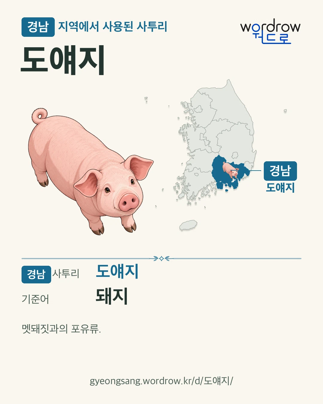 경남 지역에서 사용된 사투리 ‘도얘지’. 기준어: 돼지. 기록 지역을 표시한 카툰 삽화와 지도 카드.