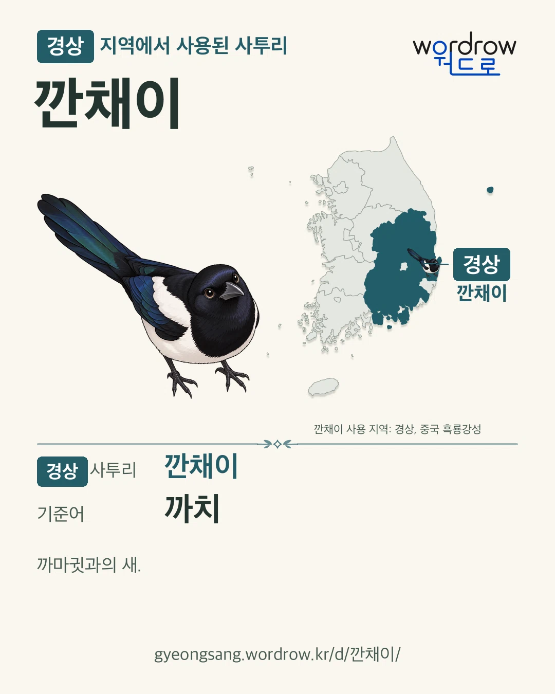 경상 지역에서 사용된 사투리 ‘깐채이’. 기준어: 까치. 기록 지역을 표시한 카툰 삽화와 지도 카드.
