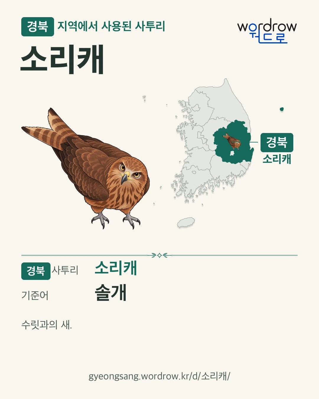 경북 지역에서 사용된 사투리 ‘소리캐’. 기준어: 솔개. 기록 지역을 표시한 카툰 삽화와 지도 카드.