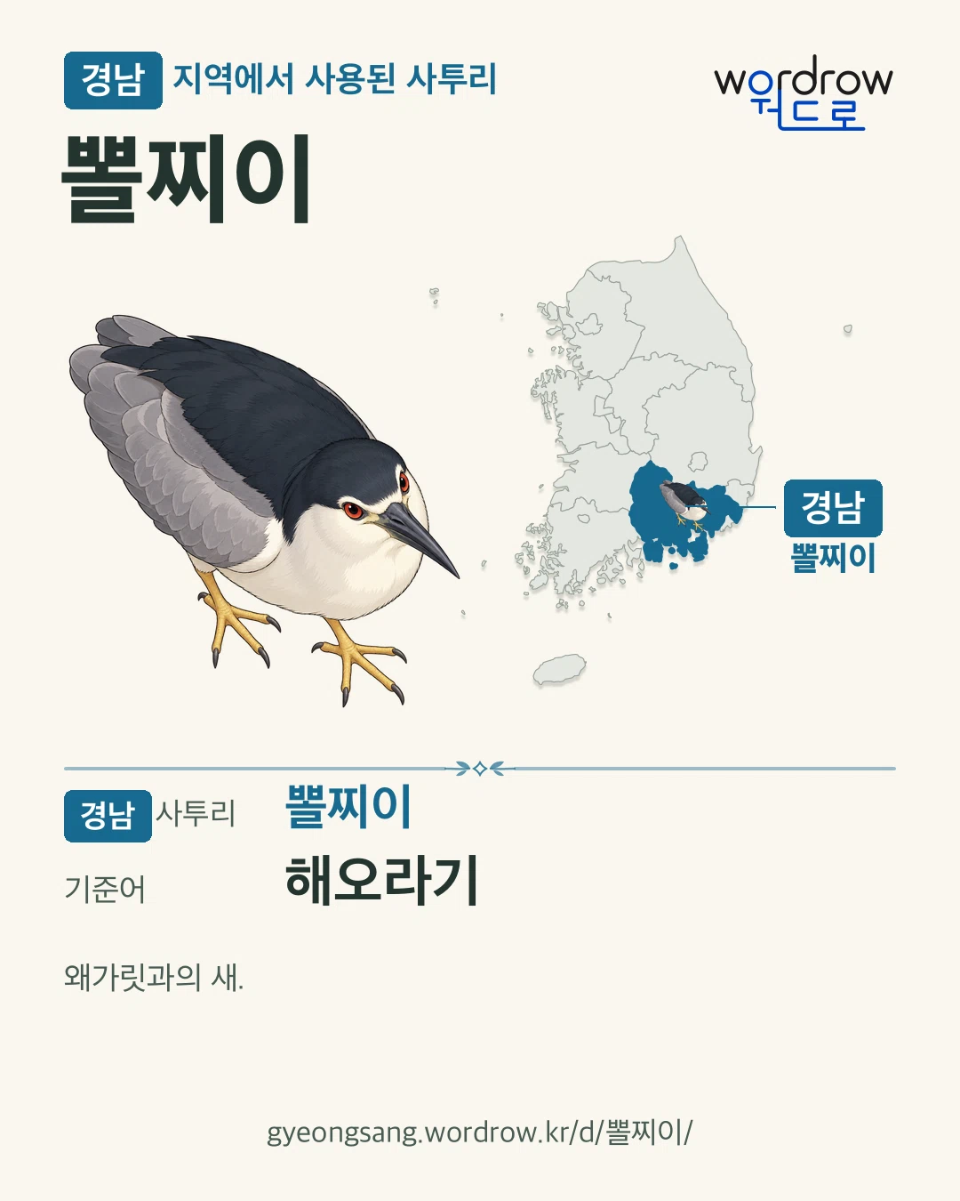 경남 지역에서 사용된 사투리 ‘뽈찌이’. 기준어: 해오라기. 기록 지역을 표시한 카툰 삽화와 지도 카드.