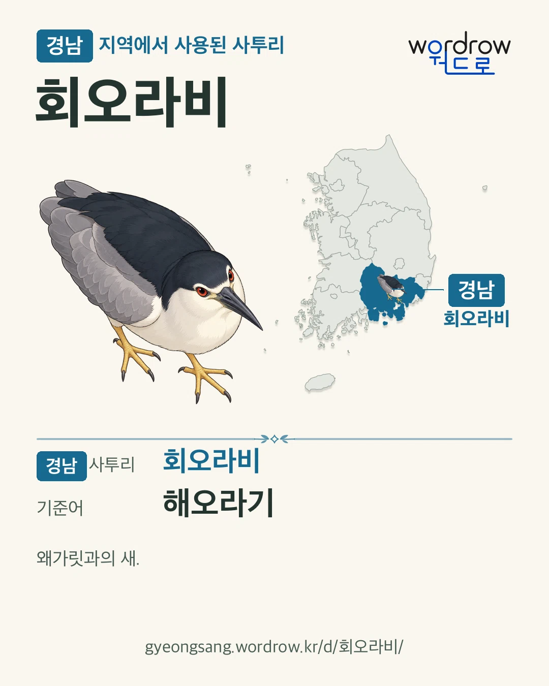 경남 지역에서 사용된 사투리 ‘회오라비’. 기준어: 해오라기. 기록 지역을 표시한 카툰 삽화와 지도 카드.