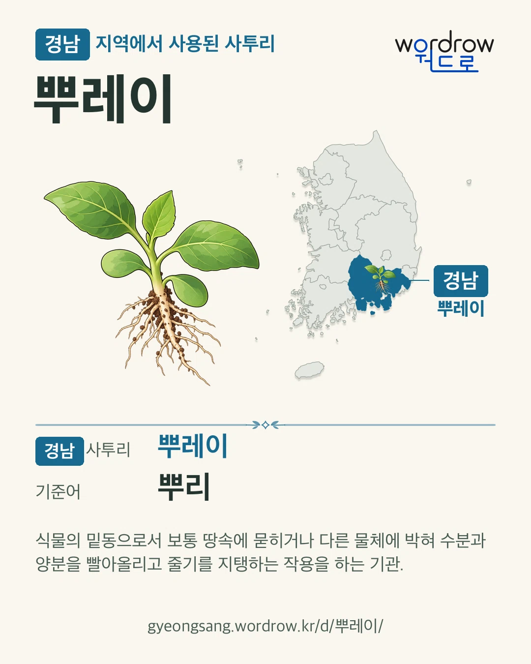 경남 지역에서 사용된 사투리 ‘뿌레이’. 기준어: 뿌리. 기록 지역을 표시한 카툰 삽화와 지도 카드.