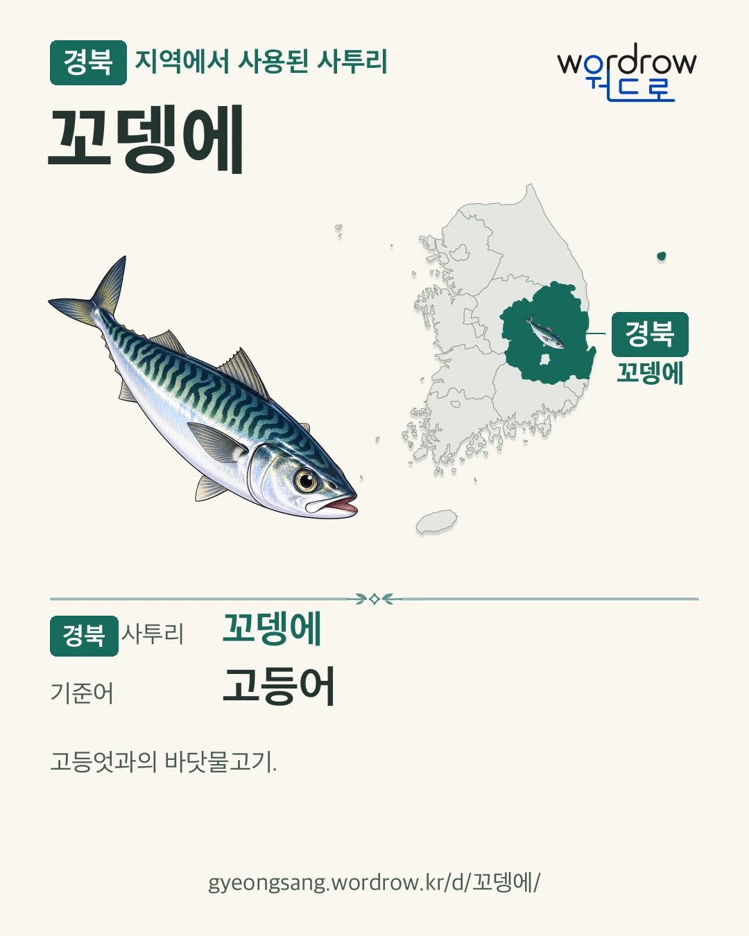 경북 지역에서 사용된 사투리 ‘꼬뎅에’. 기준어: 고등어. 기록 지역을 표시한 카툰 삽화와 지도 카드.