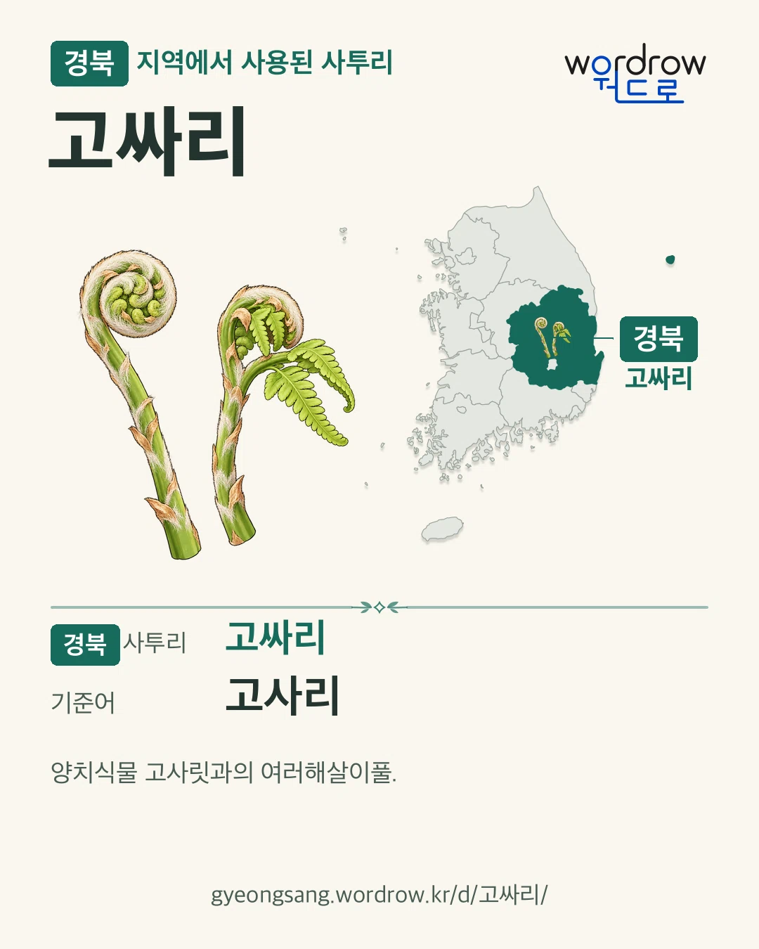 경북 지역에서 사용된 사투리 ‘고싸리’. 기준어: 고사리. 기록 지역을 표시한 카툰 삽화와 지도 카드.