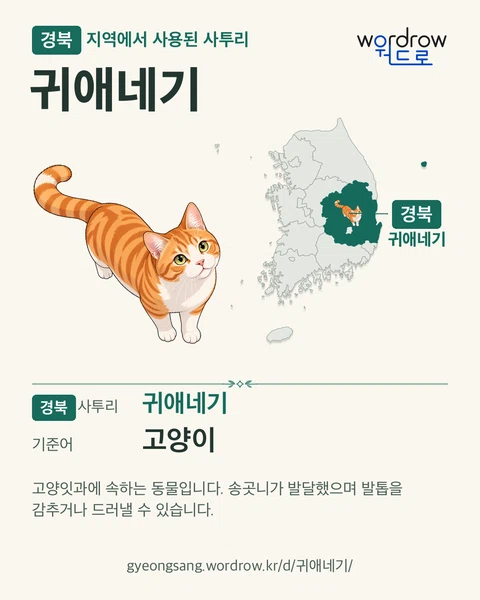 경북 지역에서 사용된 사투리 ‘귀애네기’. 기준어: 고양이. 기록 지역을 표시한 카툰 삽화와 지도 카드.