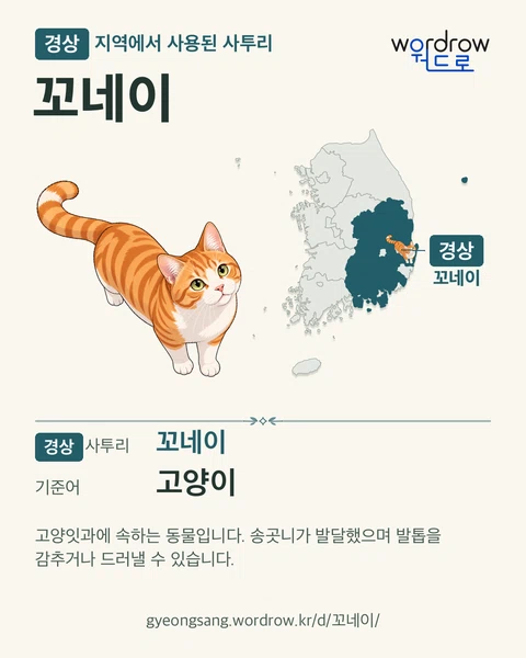 경상 지역에서 사용된 사투리 ‘꼬네이’. 기준어: 고양이. 기록 지역을 표시한 카툰 삽화와 지도 카드.