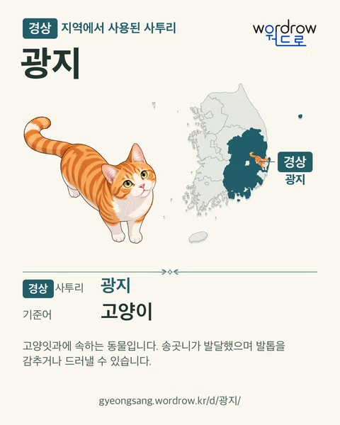 경상 지역에서 사용된 사투리 ‘광지’. 기준어: 고양이. 기록 지역을 표시한 카툰 삽화와 지도 카드.